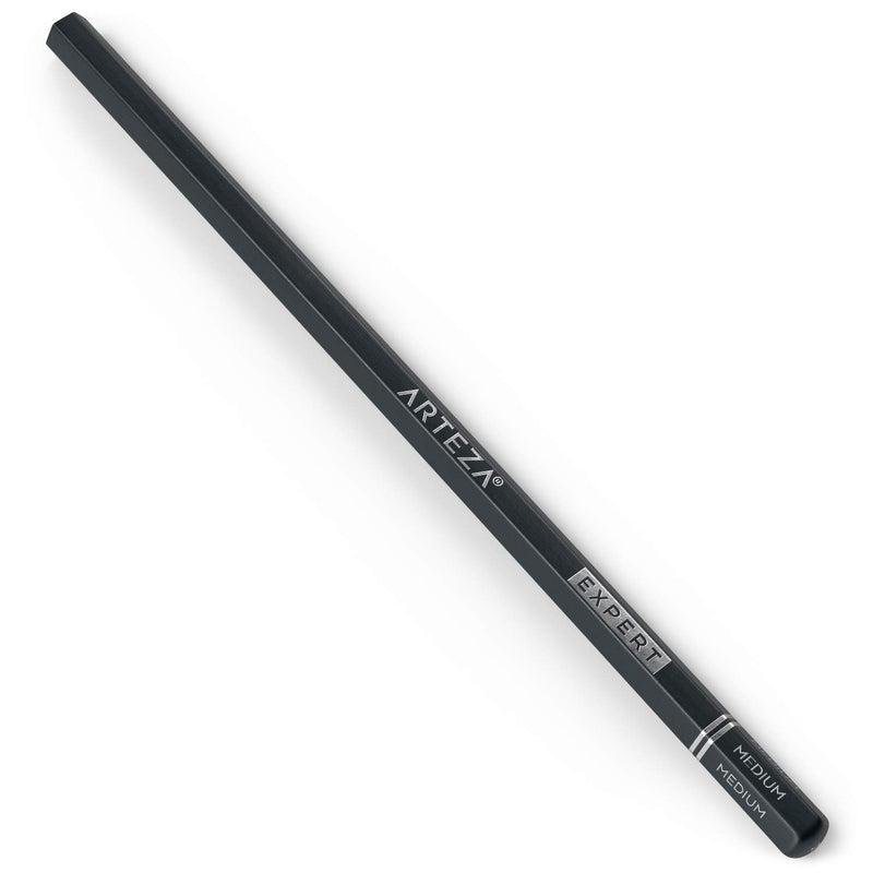 Arteza Charcoal Pencil Set