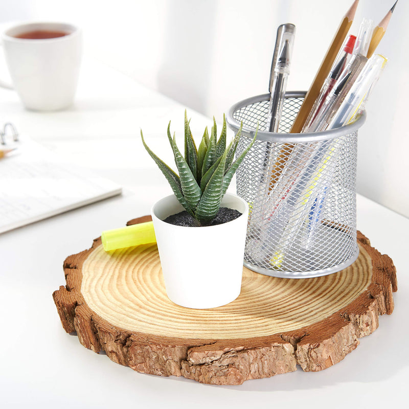 Arteza Large Wood Slices - Set of 8