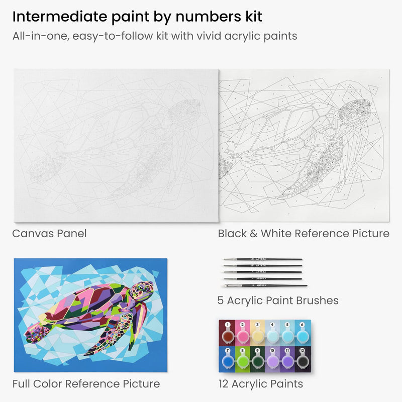 Arteza Paint by Numbers, Sea Turtle - Intermediate Level Kit